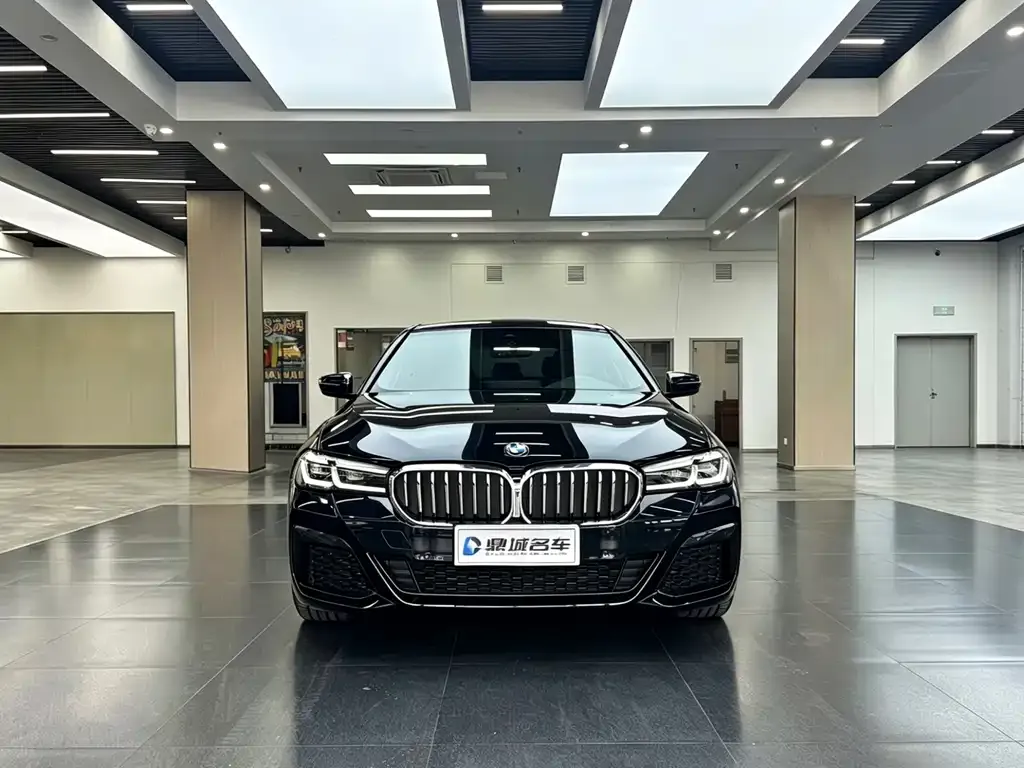BMW 5 Series (Import) — фото 9