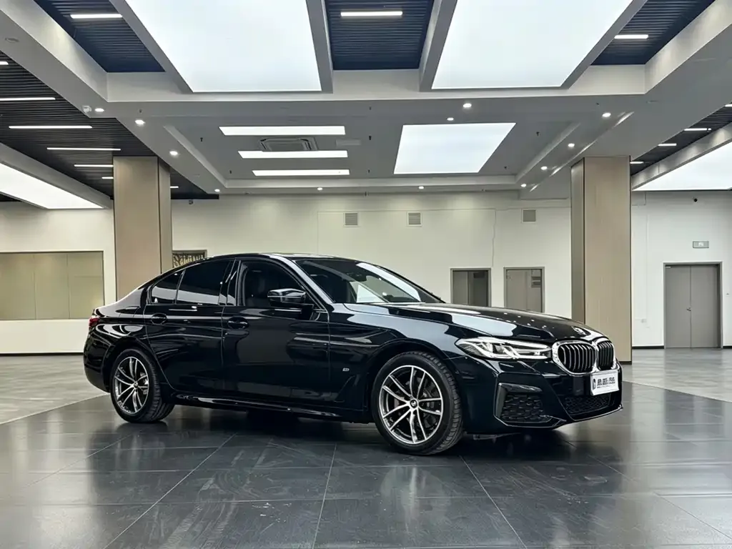 BMW 5 Series (Import) — фото 7