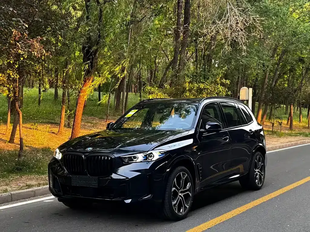 BMW X5 — фото 8