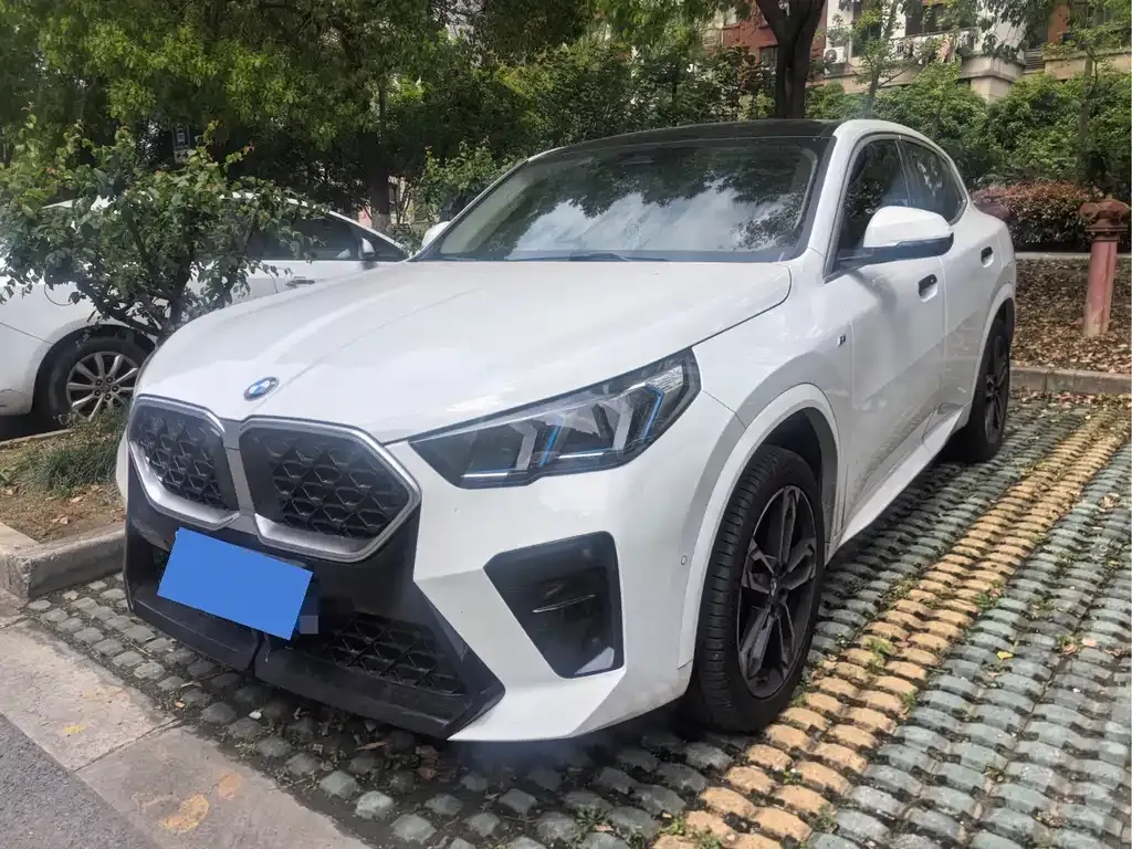BMW X2 (Import) — фото 1