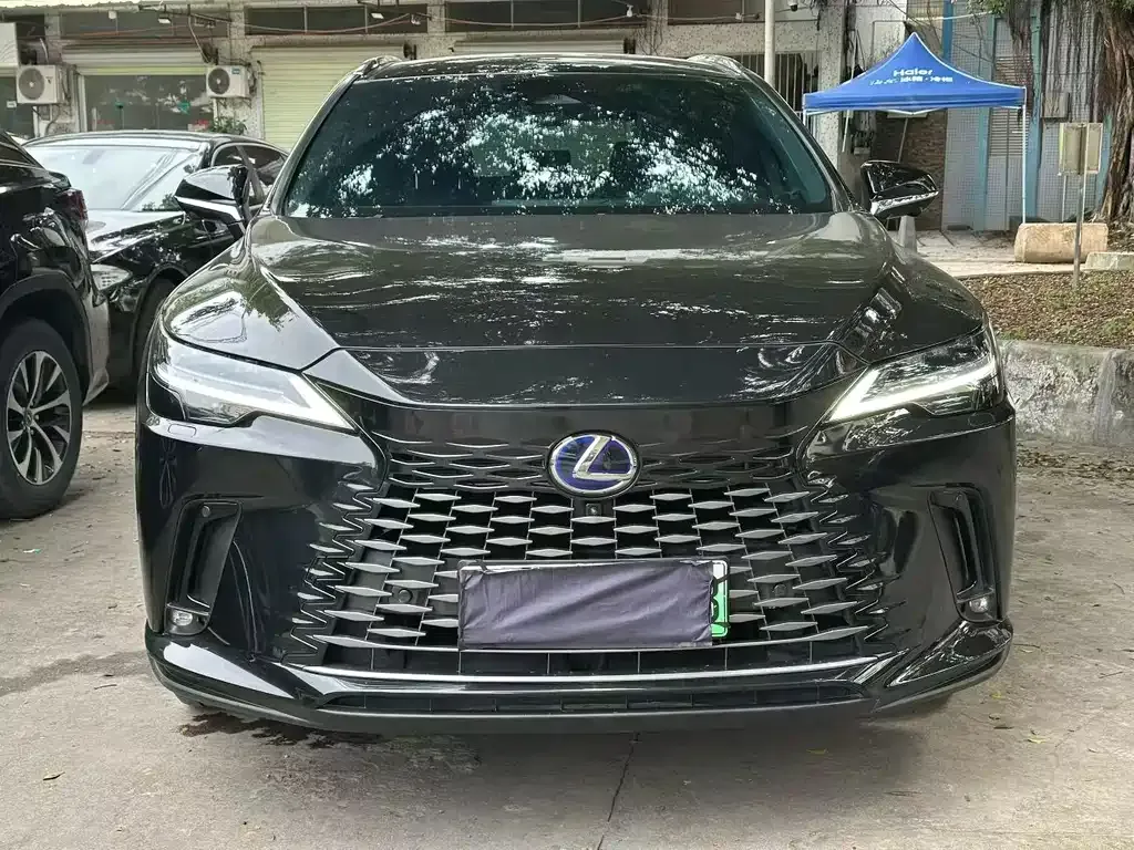 Lexus RX New Energy — фото 4