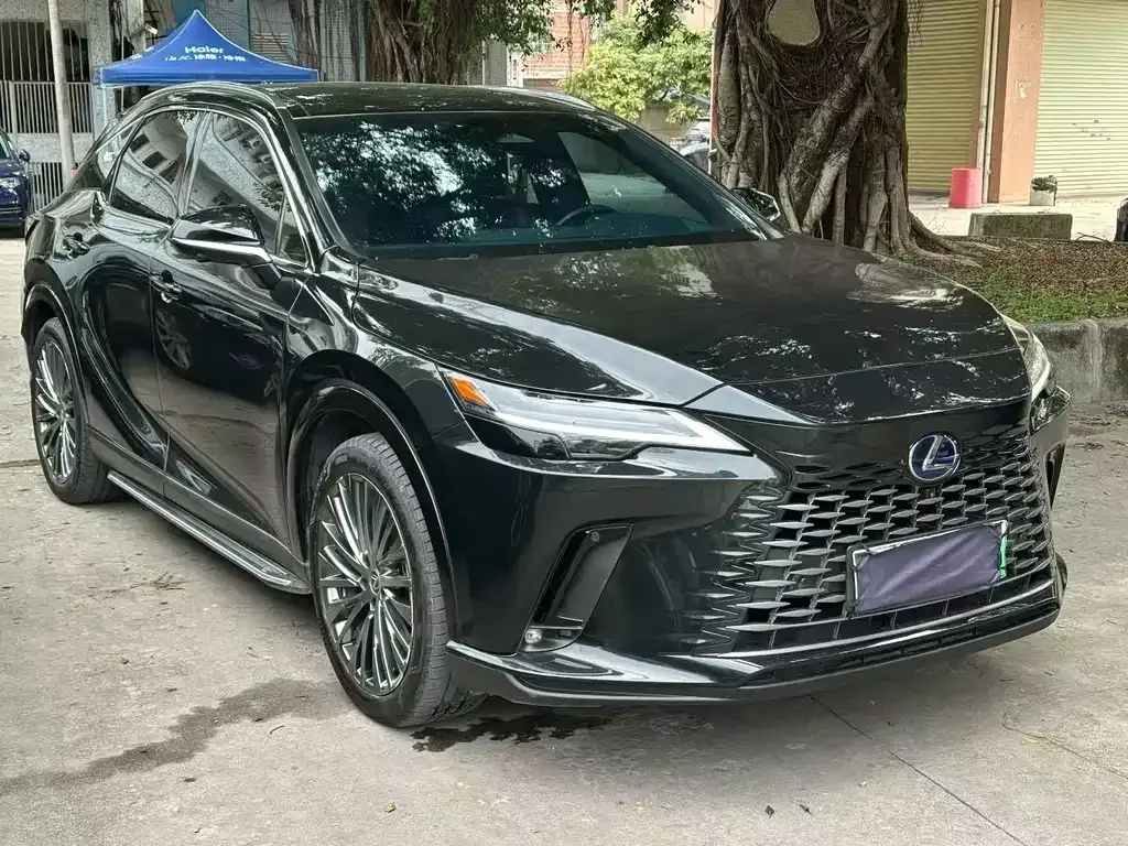 Lexus RX New Energy — фото 9