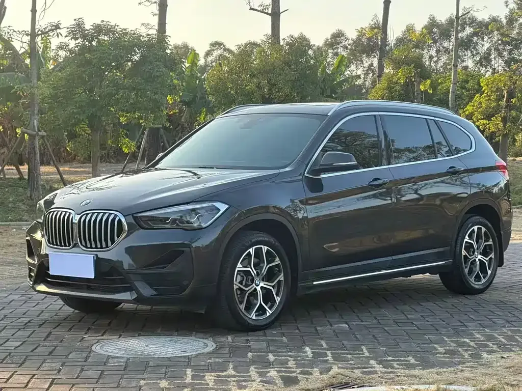 BMW X1 — фото 1