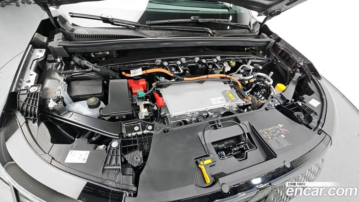 Renault Korea (Samsung) Scenic — фото 10