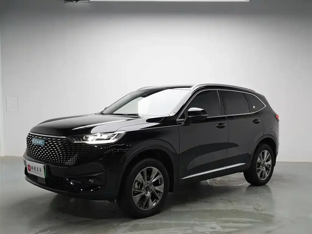 Haval H6 New Energy — фото 1