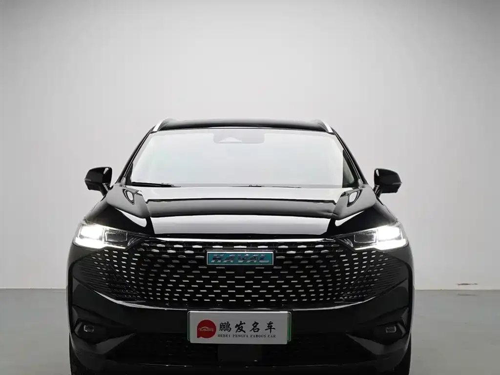 Haval H6 New Energy — фото 7