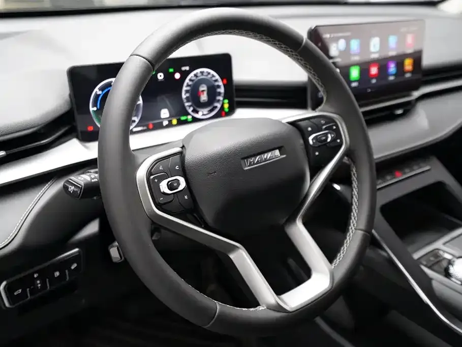 Haval H6 New Energy — фото 8