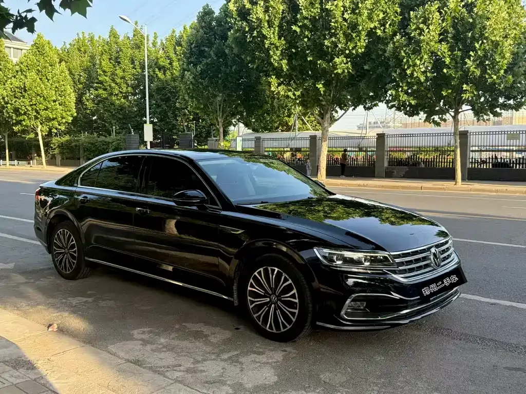 Volkswagen Phideon — фото 8