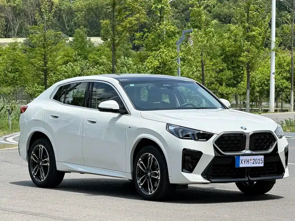 BMW X2 (Import) — фото 9