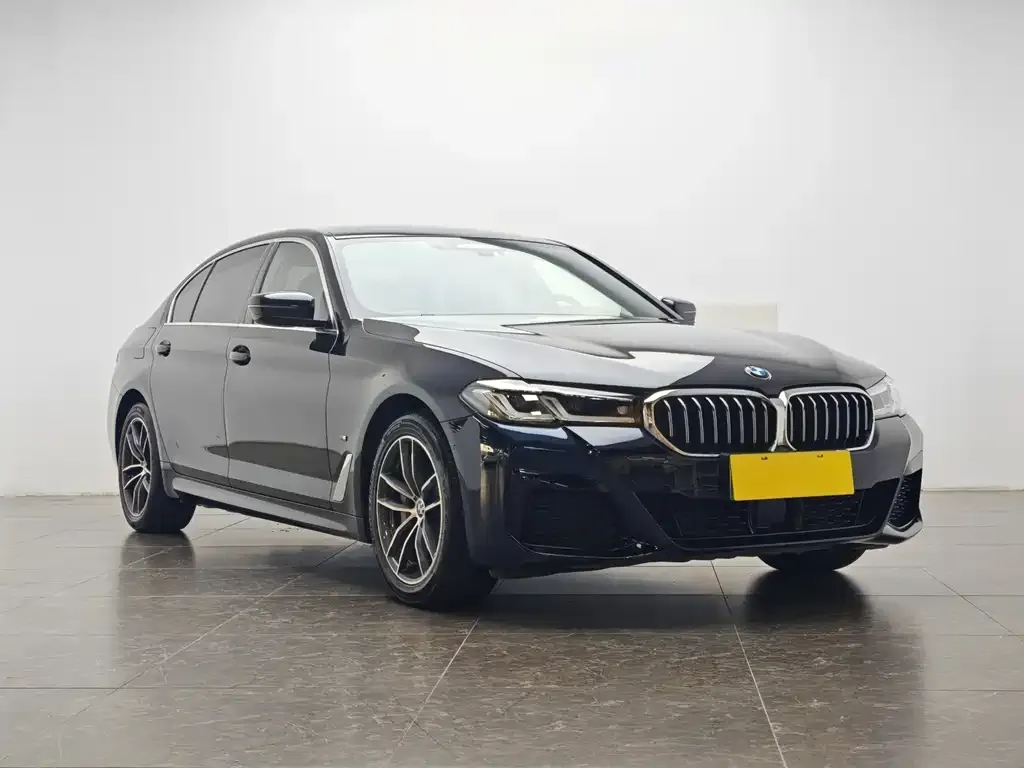 BMW 5 Series New Energy — фото 3