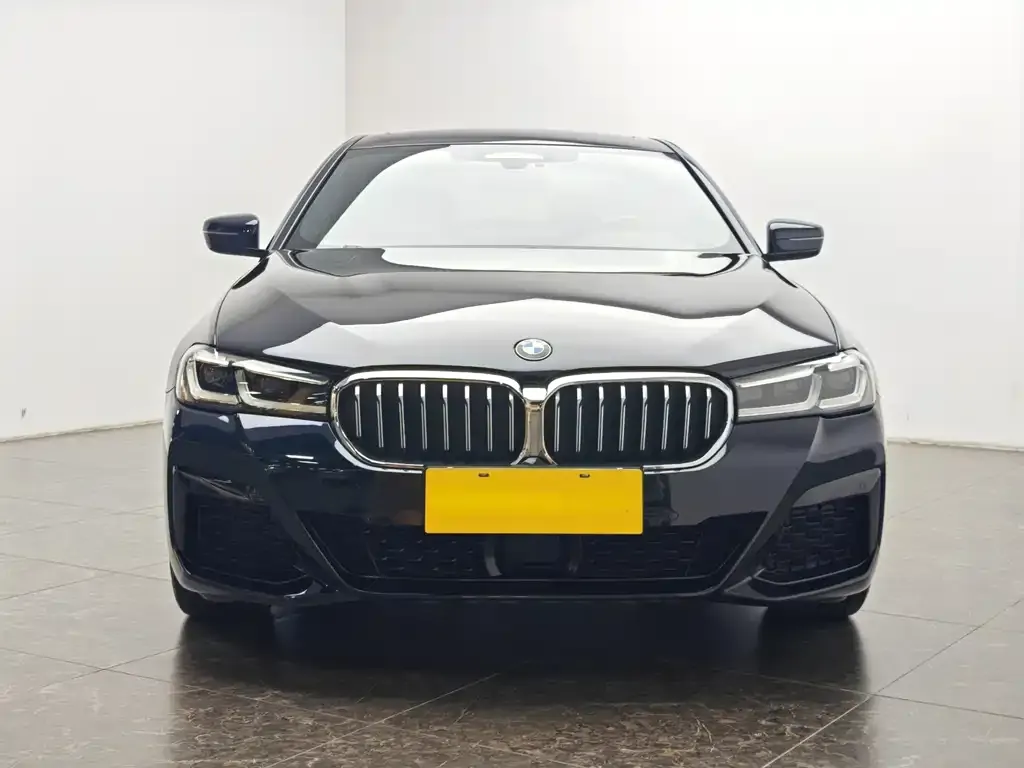 BMW 5 Series New Energy — фото 2