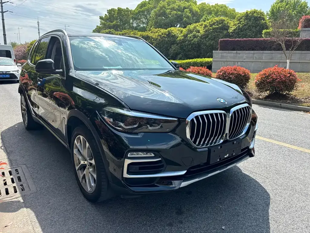 BMW X5 (Import) — фото 9
