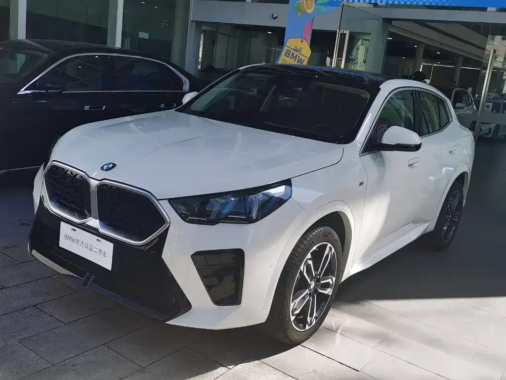 BMW X2 (Import) — фото 1