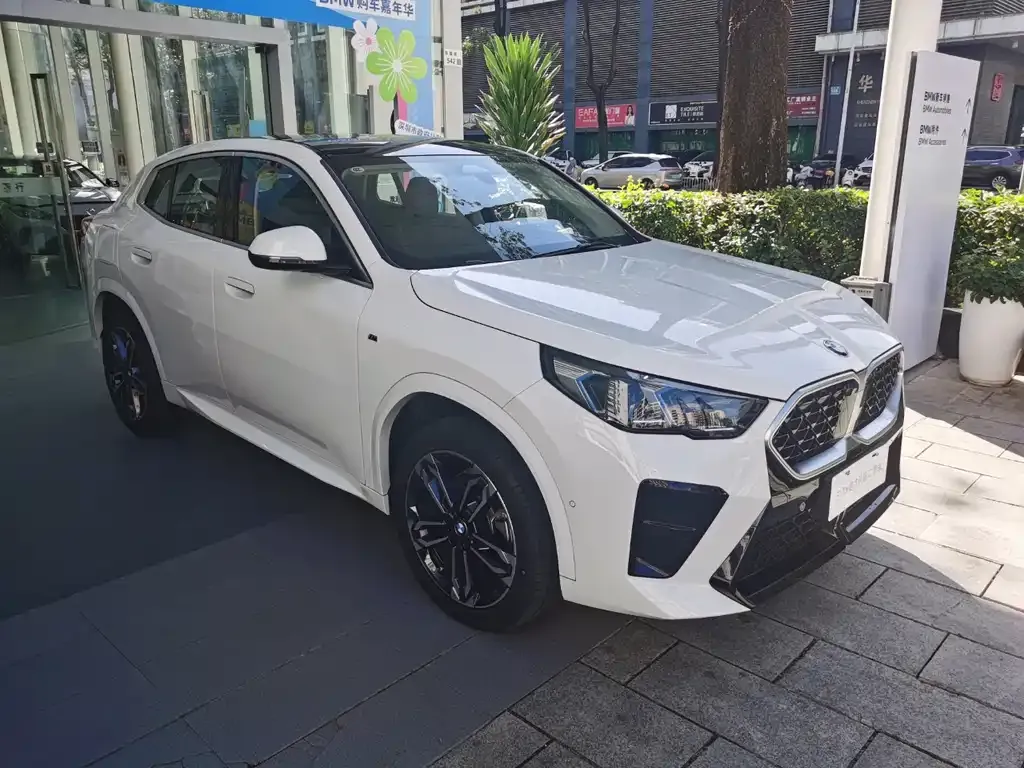 BMW X2 (Import) — фото 6