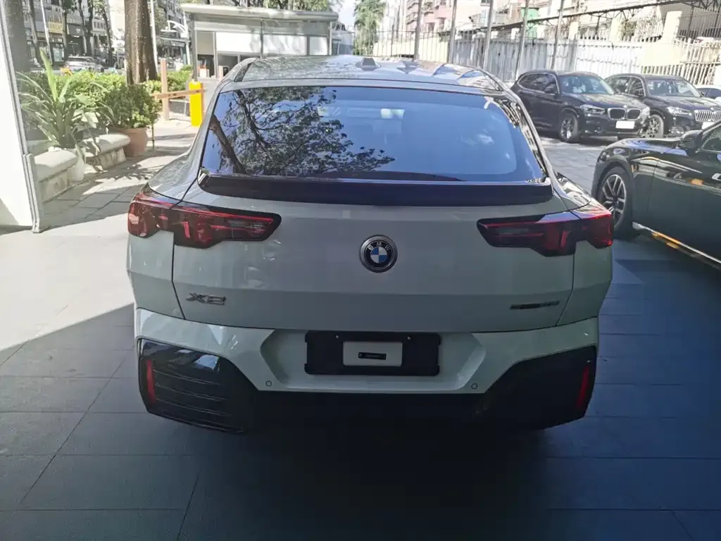 BMW X2 (Import) — фото 10