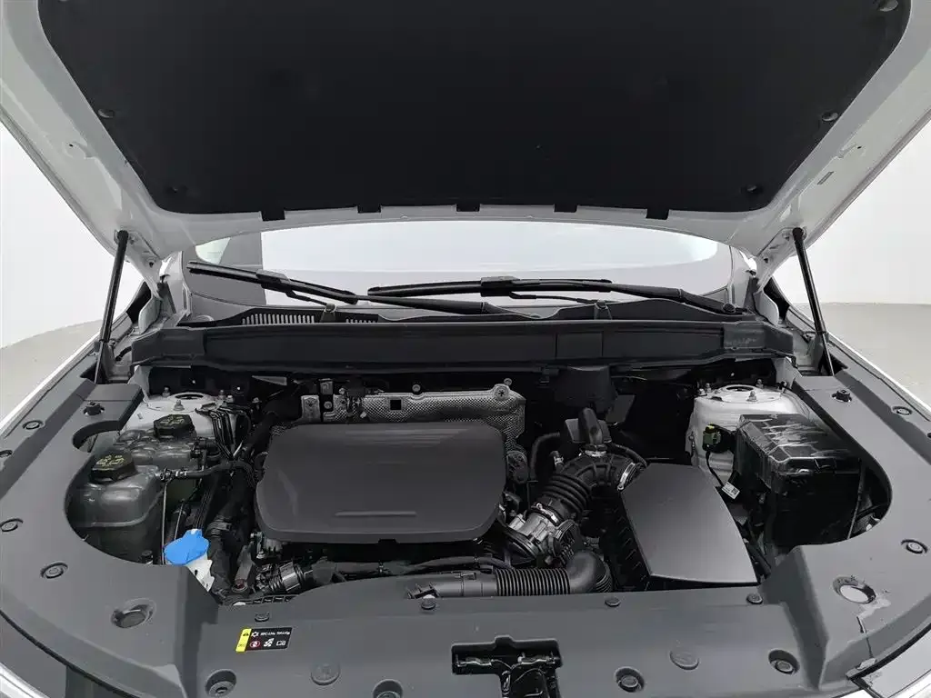 Haval Xiaolong MAX — фото 10