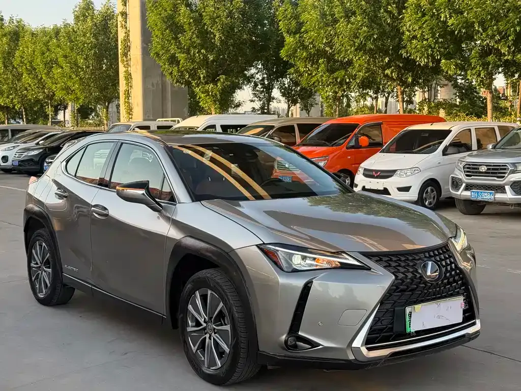 Lexus UX New Energy — фото 7