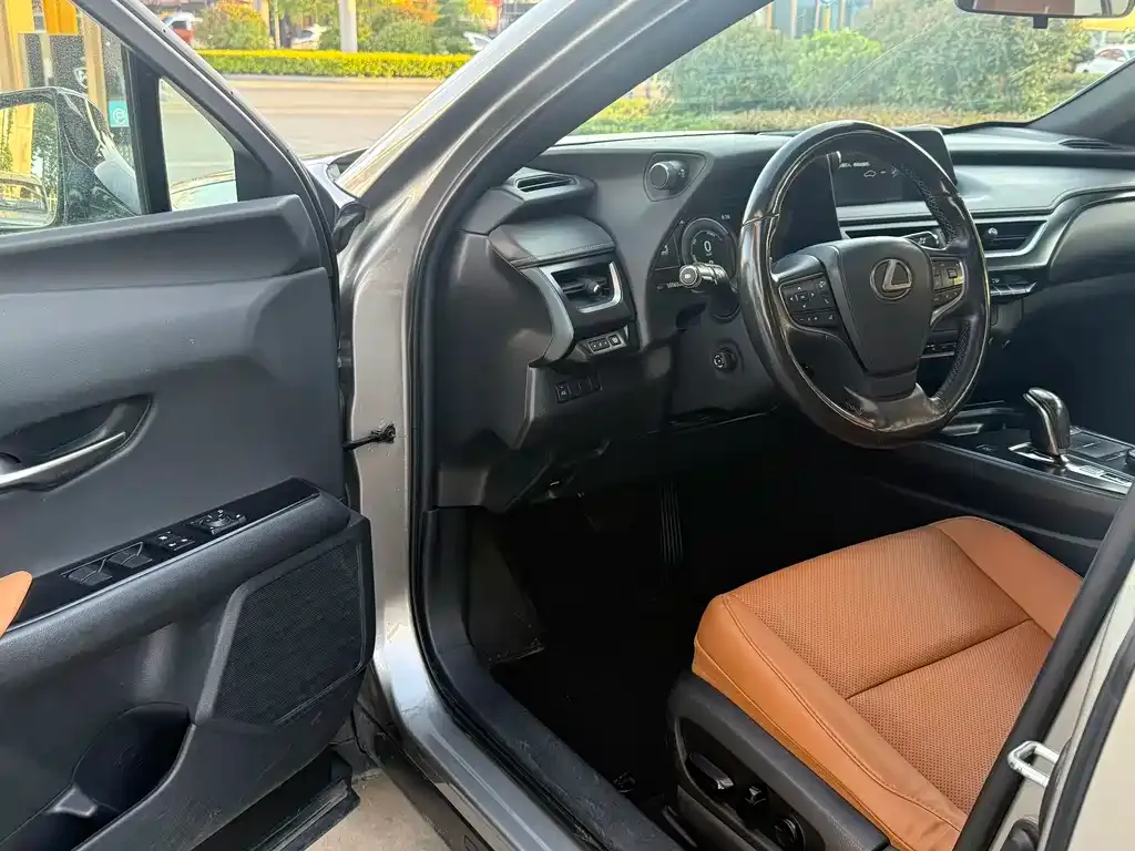 Lexus UX New Energy — фото 4