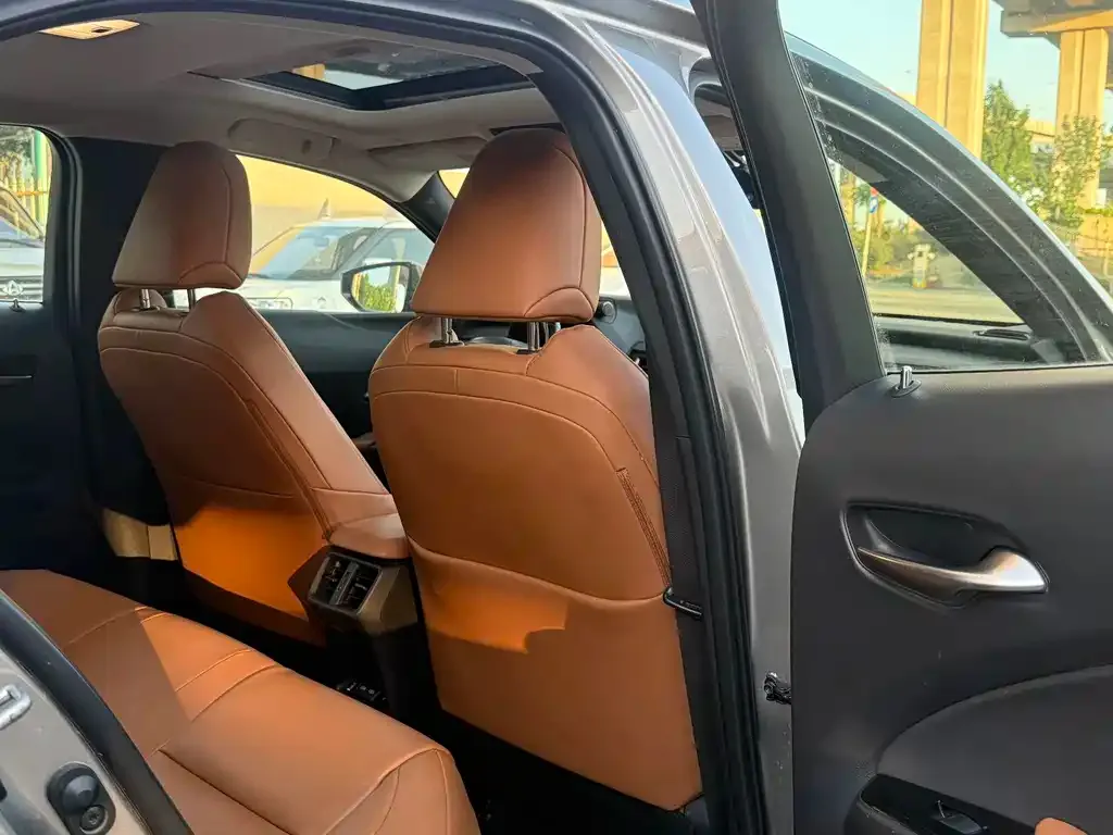 Lexus UX New Energy — фото 10