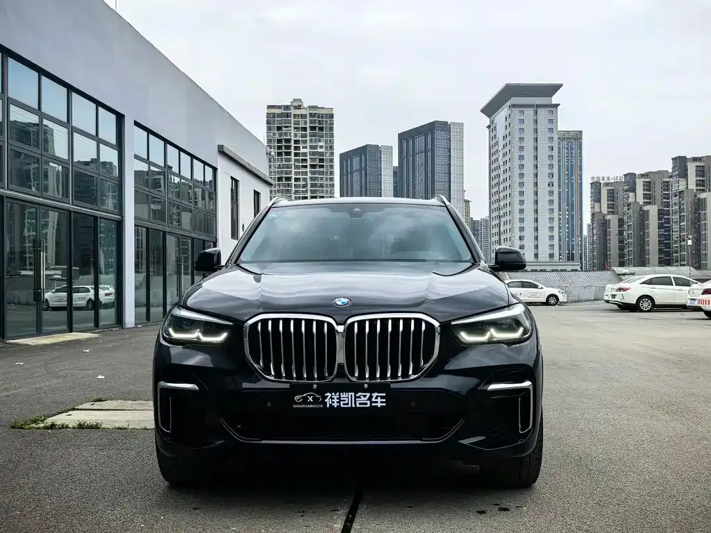 BMW X5 — фото 10