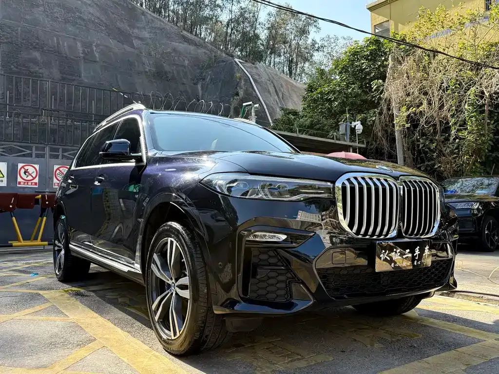 BMW X7 — фото 9