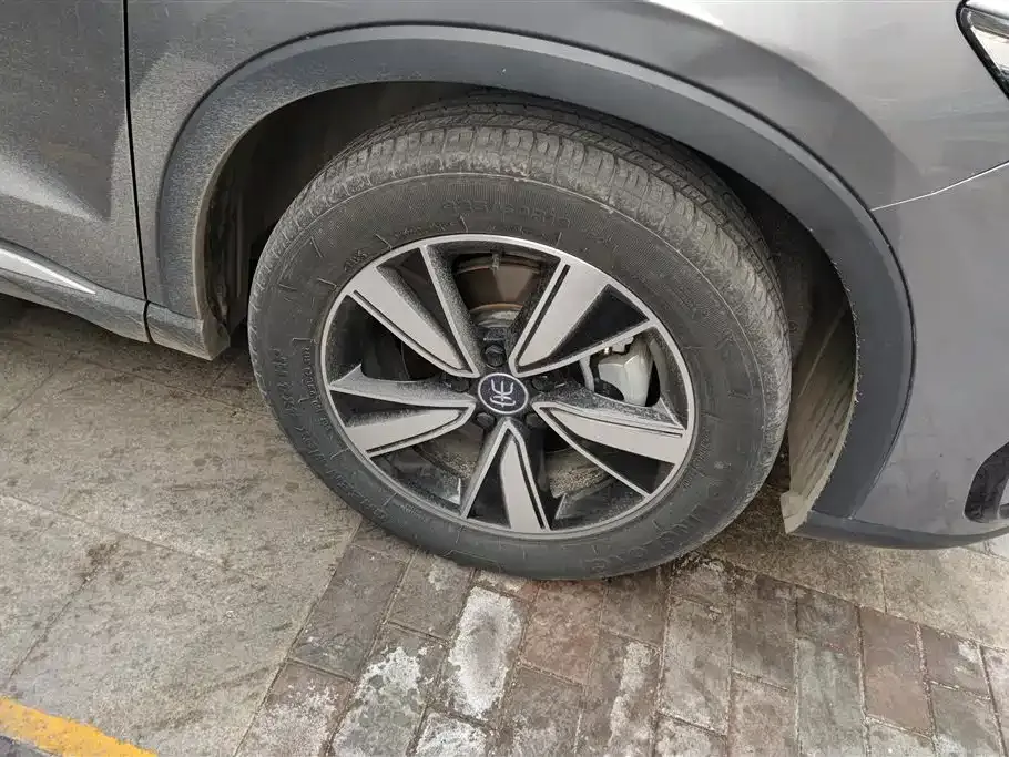 BYD Pro New Energy — фото 10