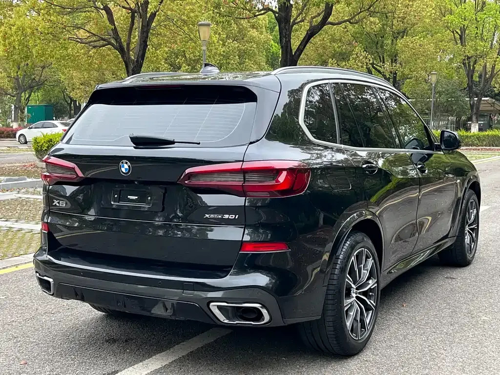 BMW X5 (Import) — фото 6