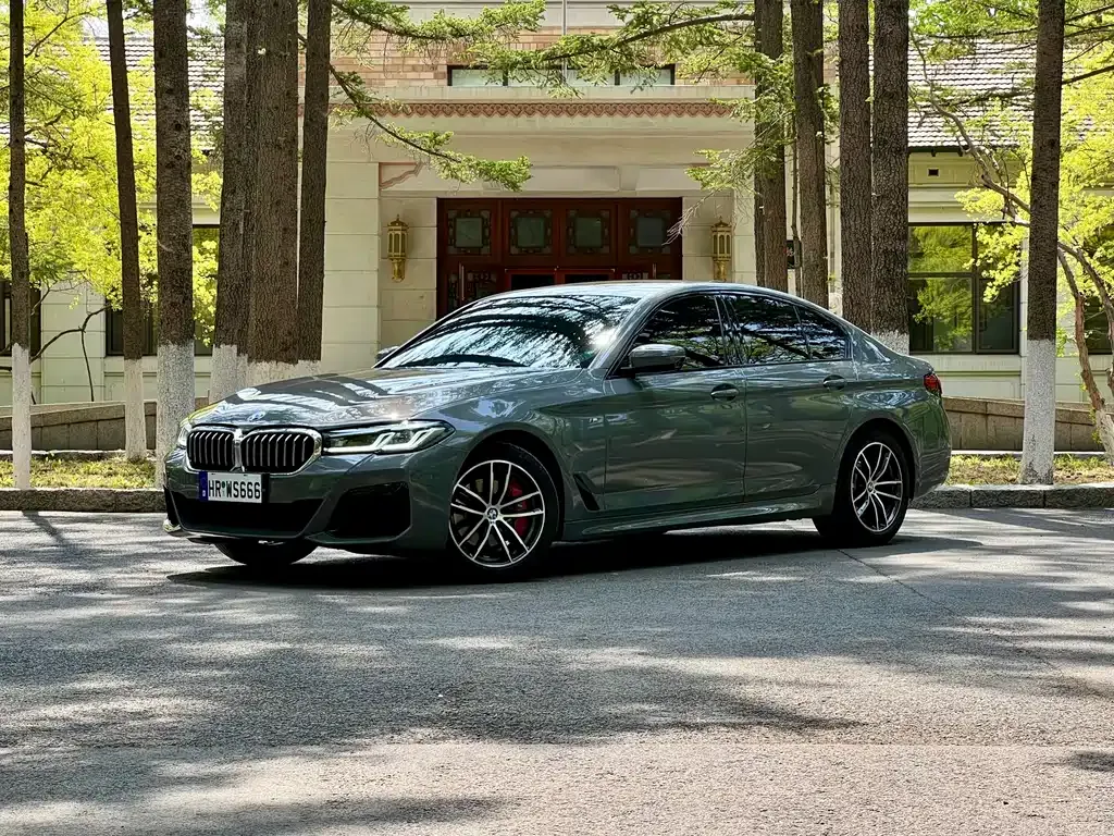 BMW 5 Series (Import) — фото 1