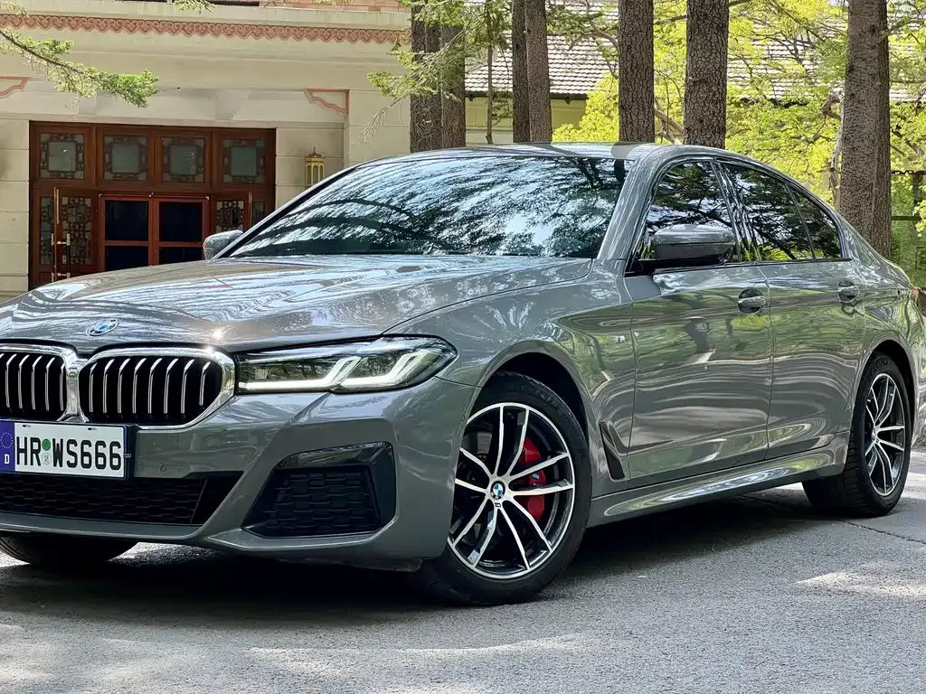 BMW 5 Series (Import) — фото 9