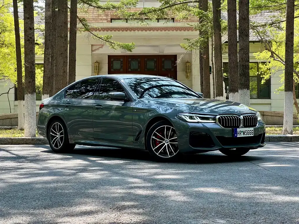 BMW 5 Series (Import) — фото 5