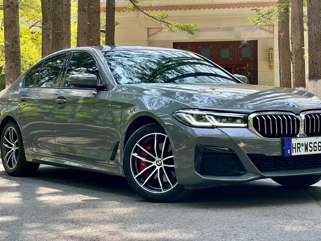 BMW 5 Series (Import) — фото 2