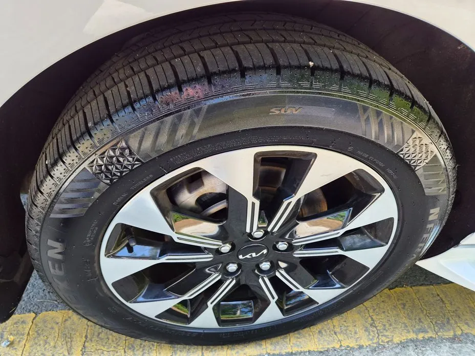 Kia Carnival — фото 10