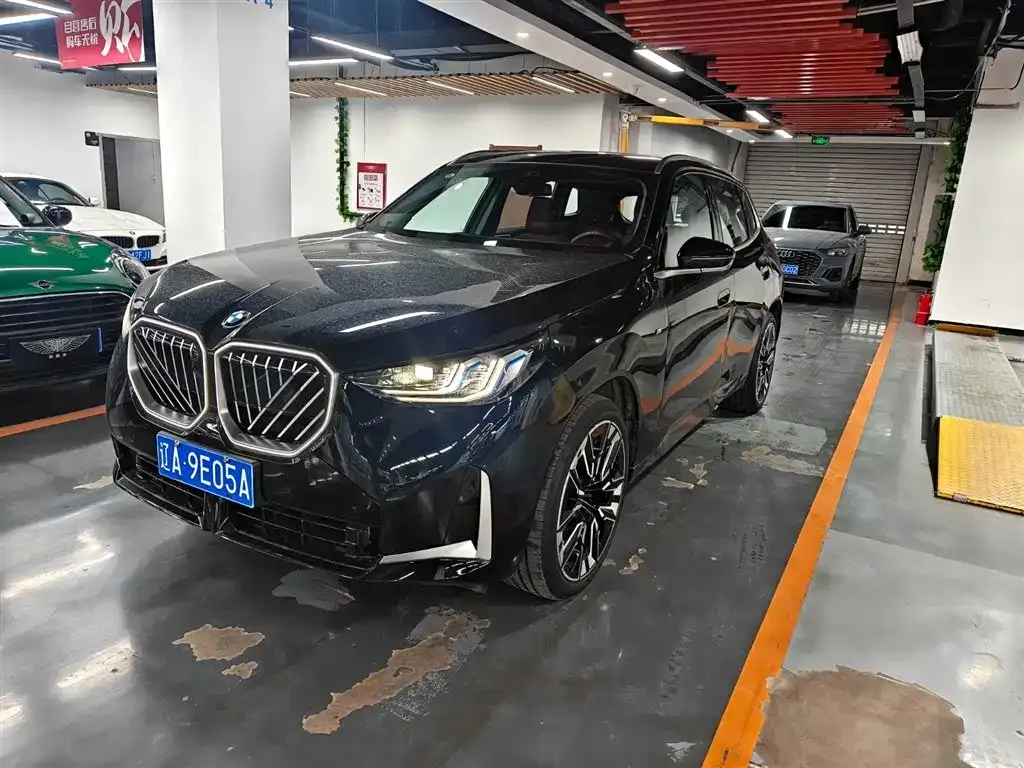 BMW X3 — фото 1