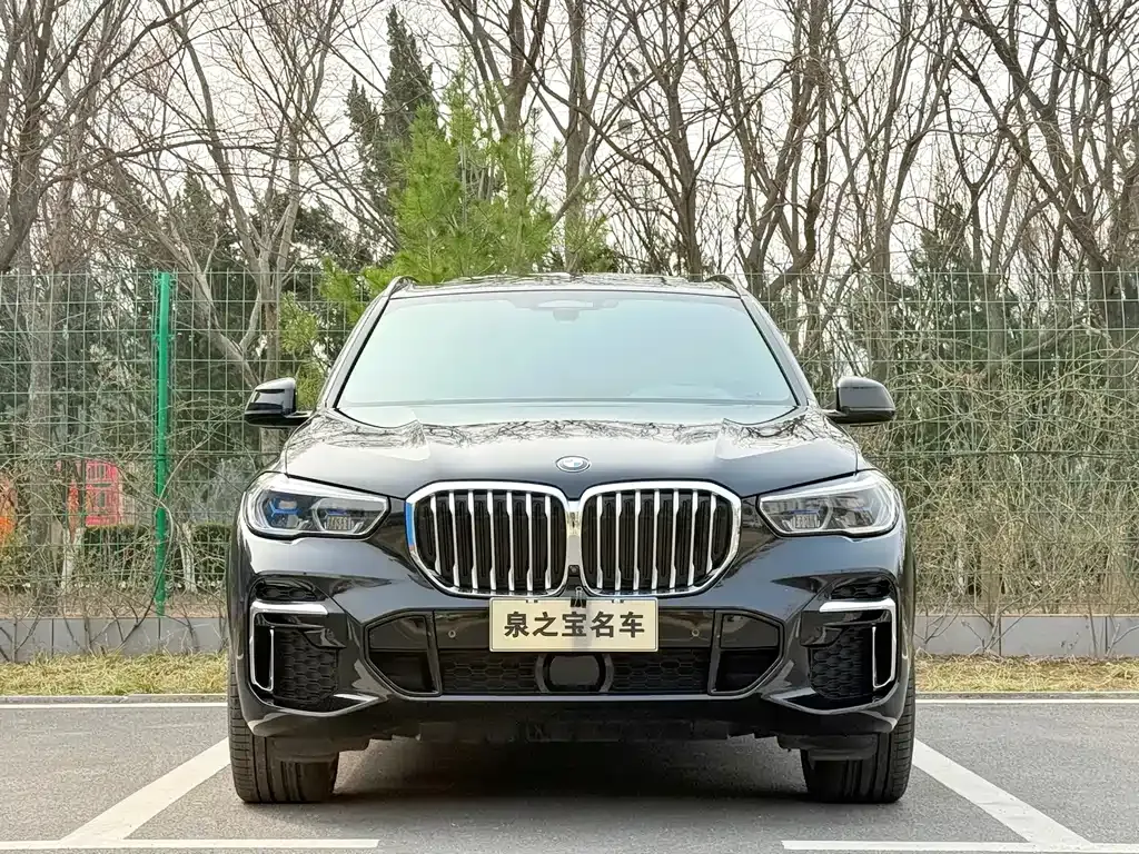 BMW X5 — фото 8