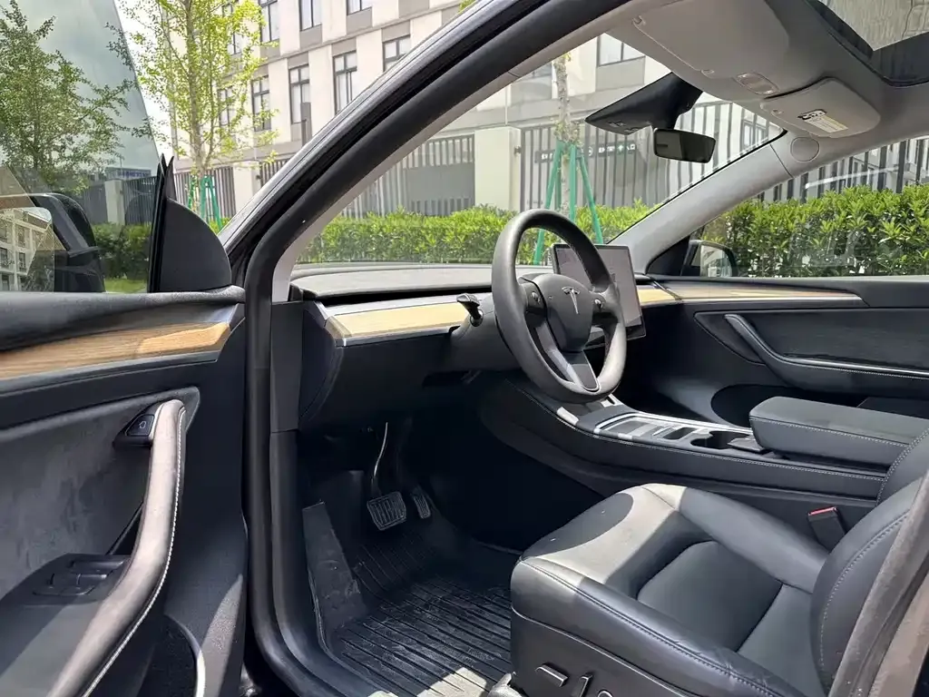 Tesla Model Y — фото 5