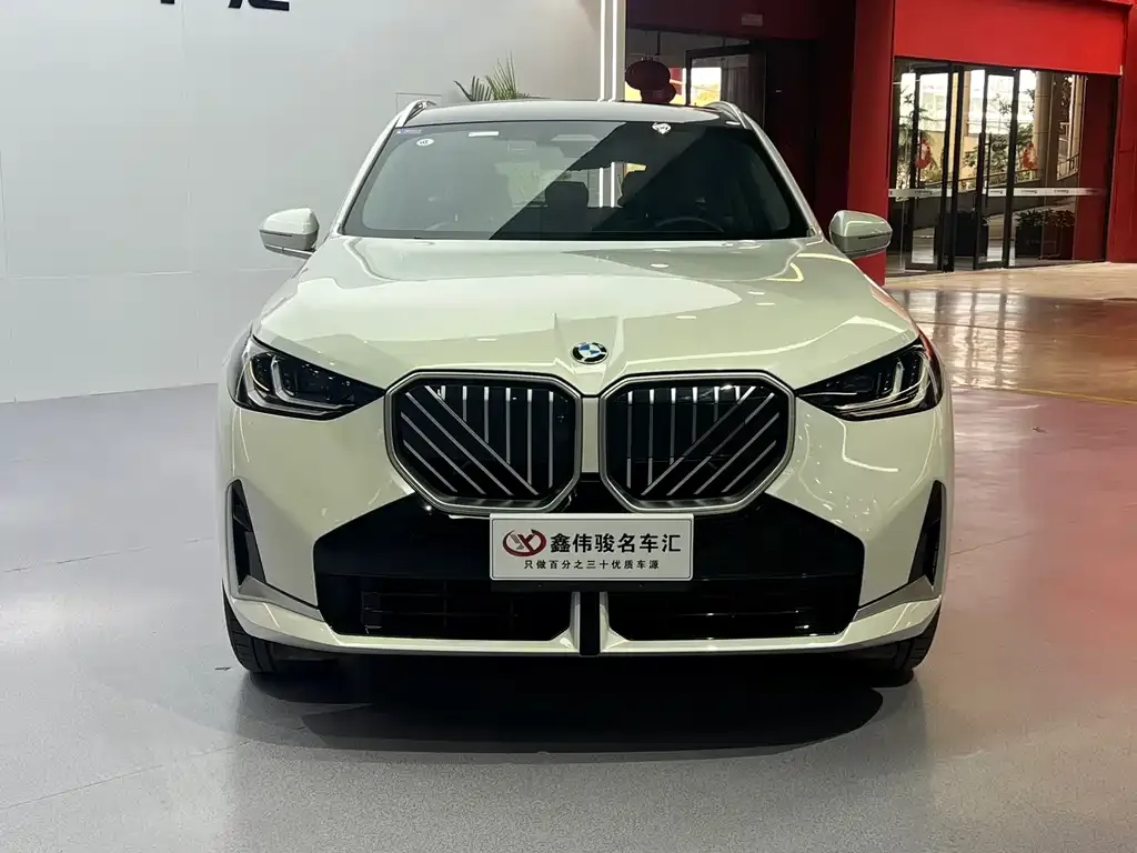 BMW X3 — фото 10