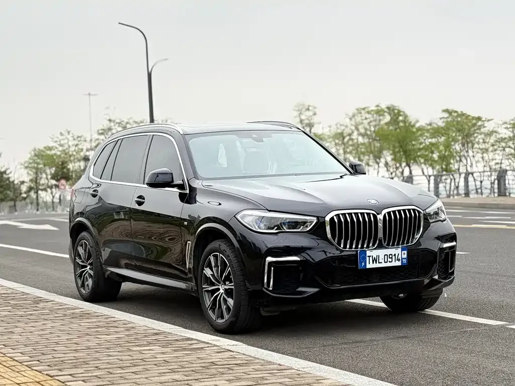 BMW X5 — фото 8