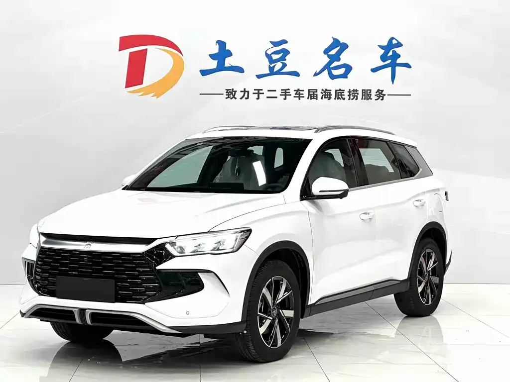 BYD Pro New Energy — фото 1