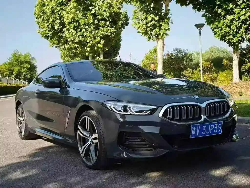 BMW 8 Series — фото 9