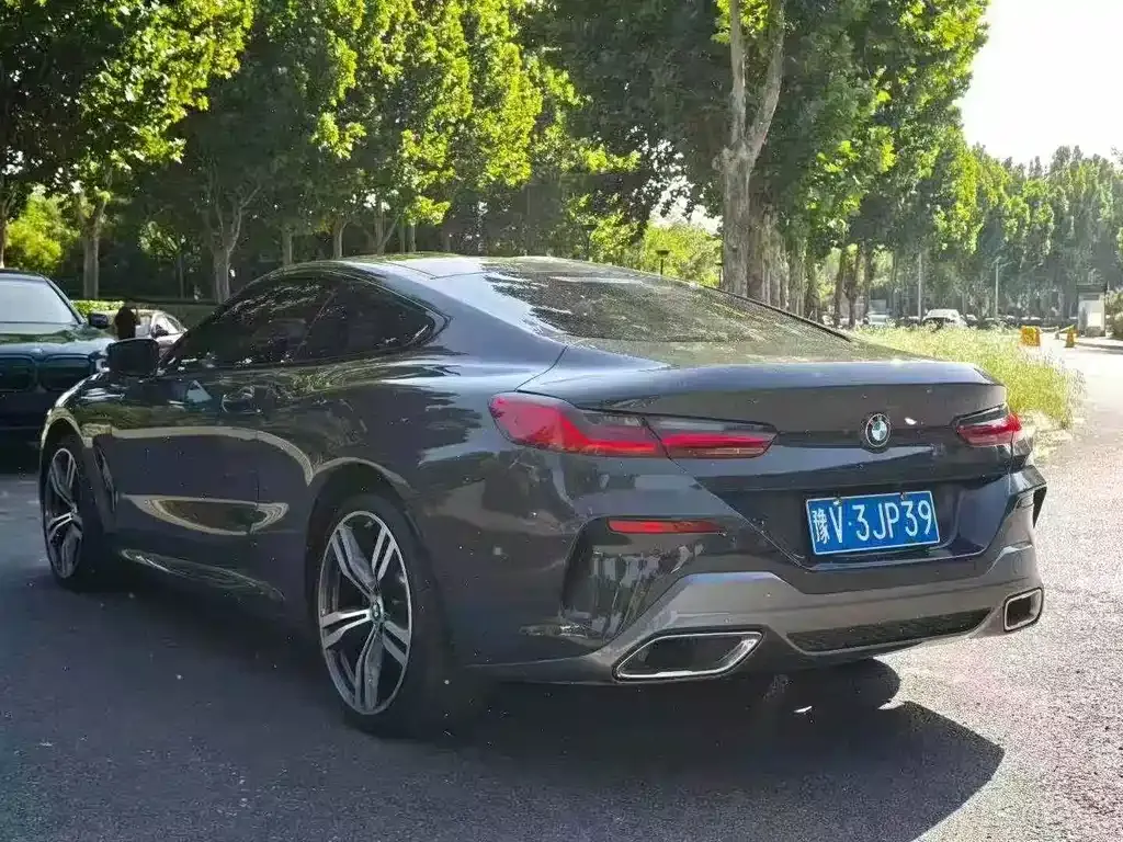 BMW 8 Series — фото 6
