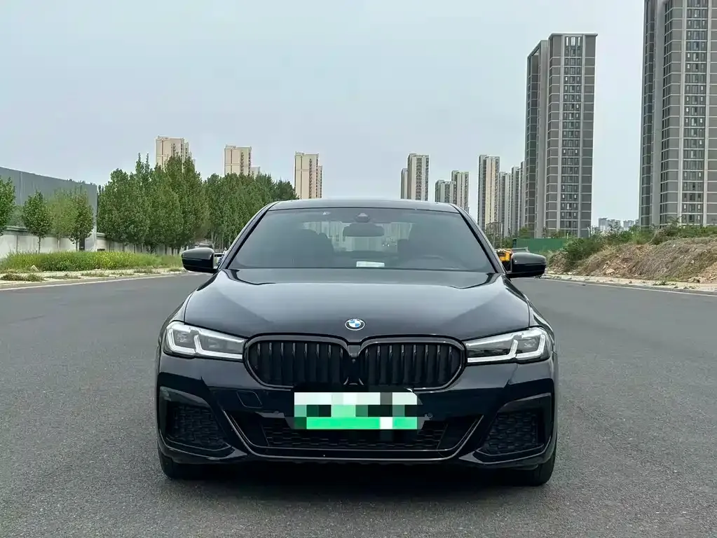 BMW 5 Series New Energy — фото 7