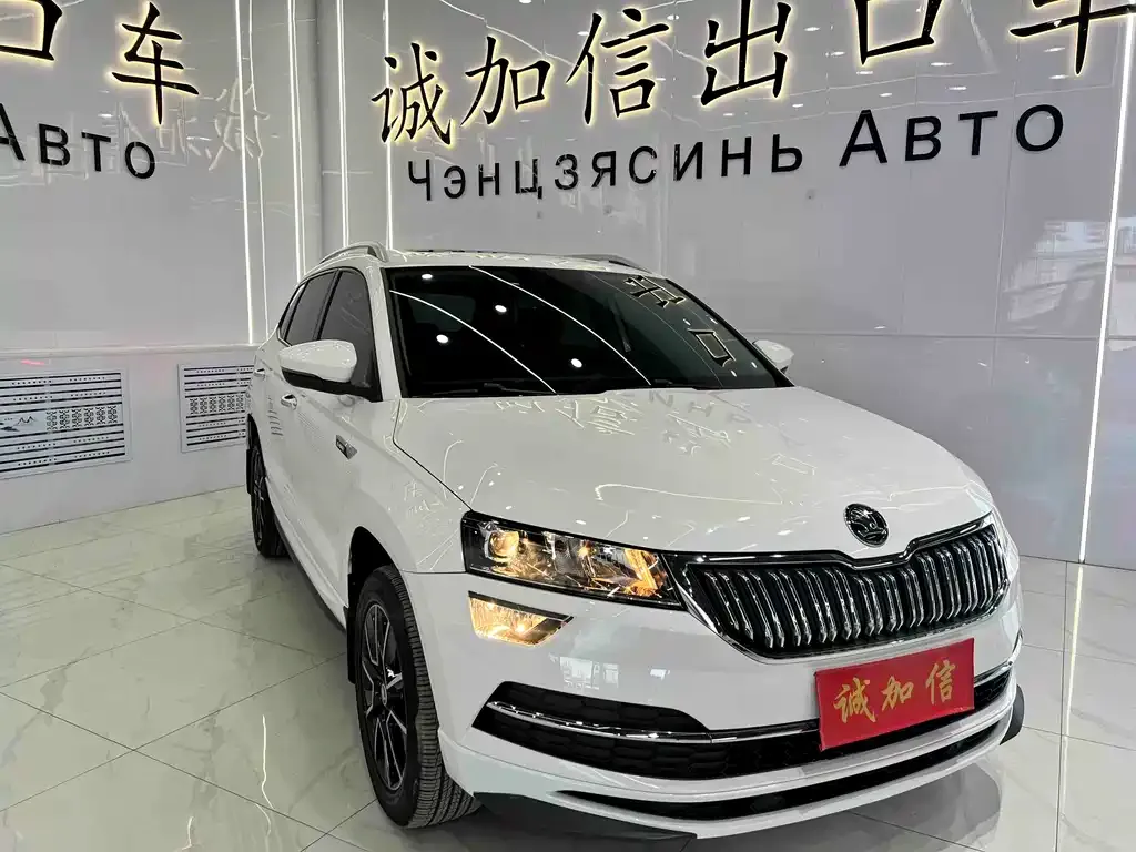 Skoda Karoq — фото 6
