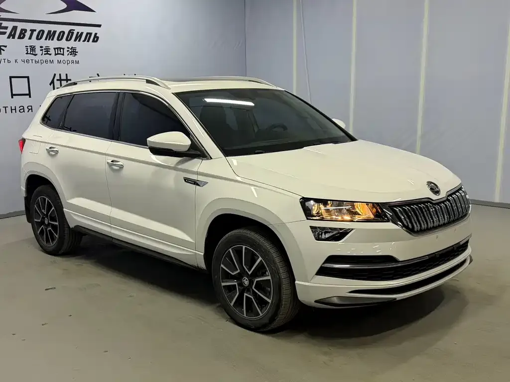 Skoda Karoq — фото 5