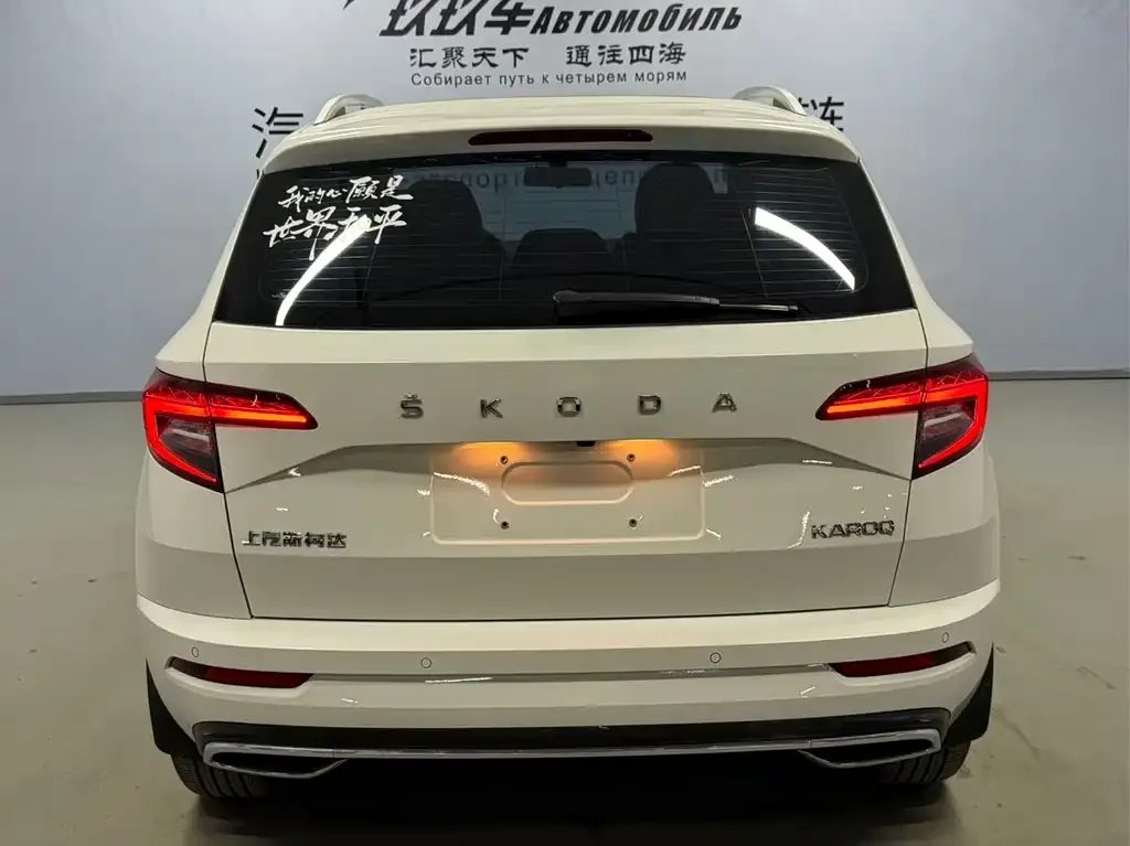 Skoda Karoq — фото 6