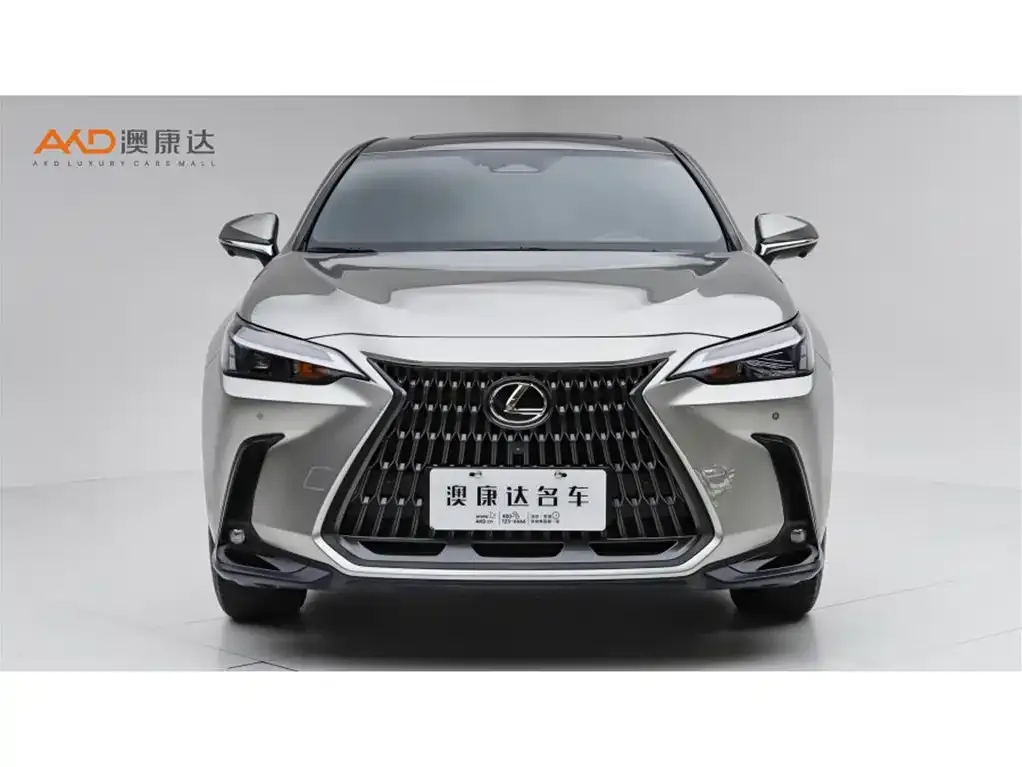 Lexus NX New Energy — фото 10