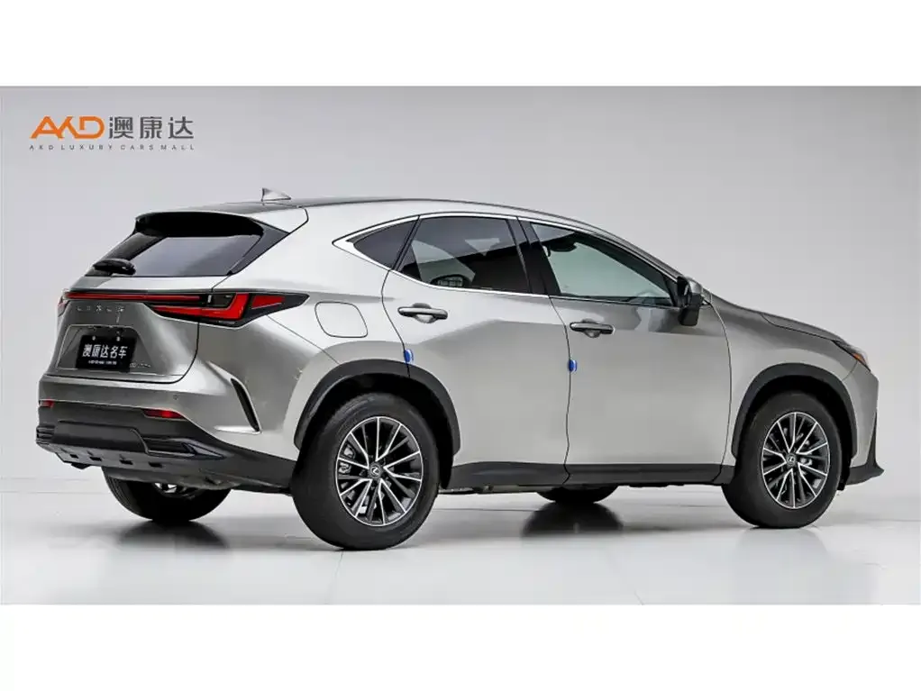 Lexus NX New Energy — фото 5