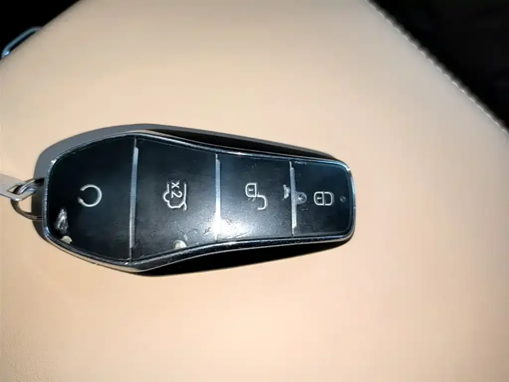 BYD Pro New Energy — фото 4