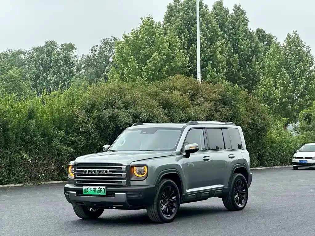 Haval Menglong New Energy — фото 1