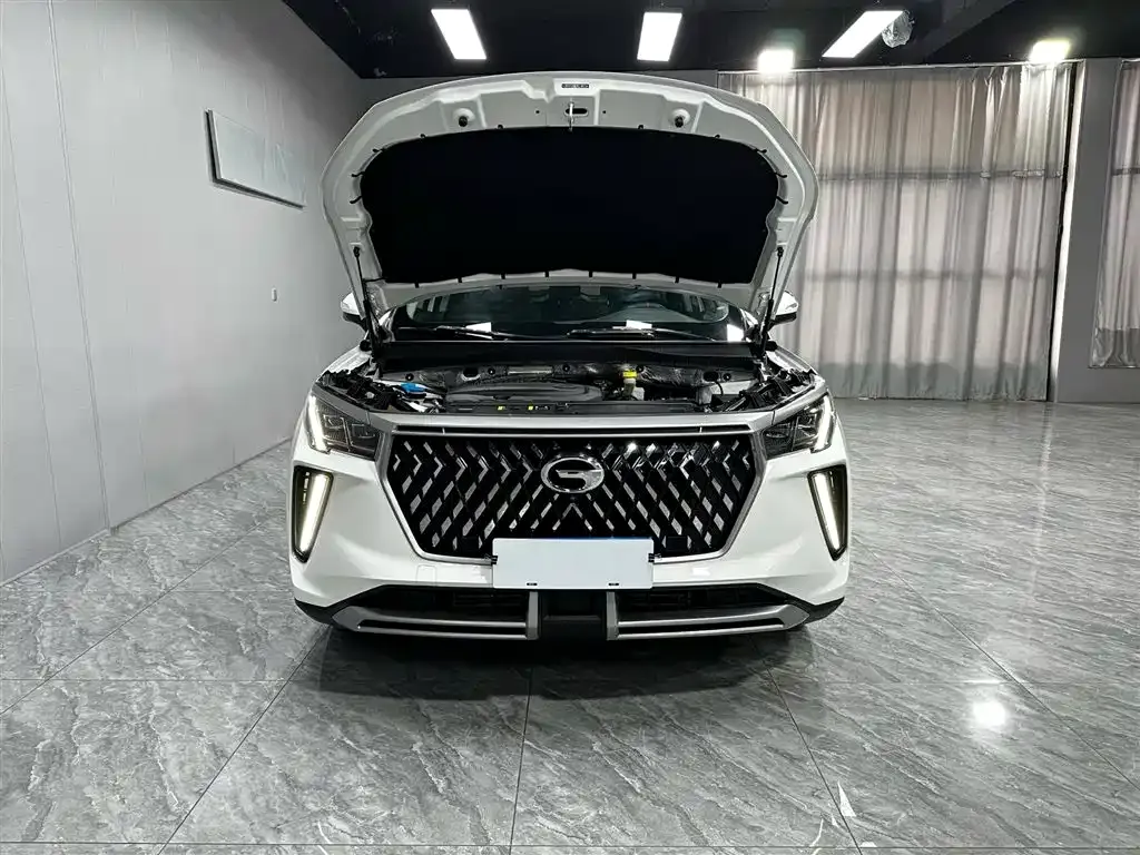 GAC Motor GS4 Plus — фото 7