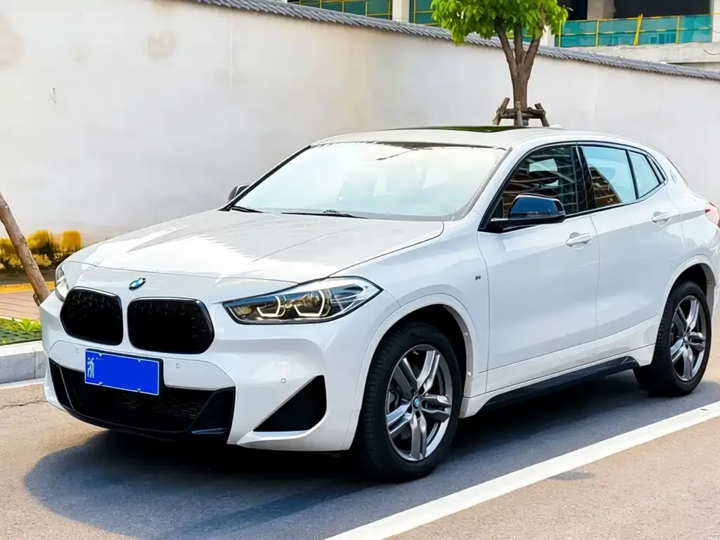 BMW X2 — фото 1